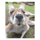 Buscar cara animal arte Para todos