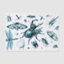 Buscar escarabajo papel de seda Entomología