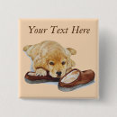 Buscar zapatillas chapas Para todos