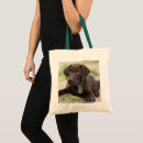 Buscar laboratorio del chocolate bolsos Labrador retriever