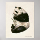 Buscar tiro libre posters Vertical