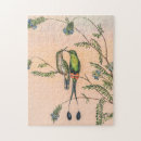 Buscar pájaro tropical puzzles Para ella
