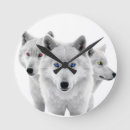 Buscar lobo blanco relojes de pared Animal