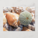 Buscar souvenirs postales Mar