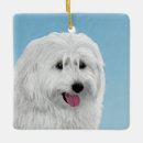 Buscar polaco adornos Blanco