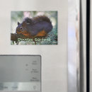 Buscar criador fotografía Adorable