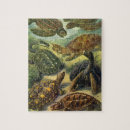 Buscar biologia puzzles Ernst haeckel