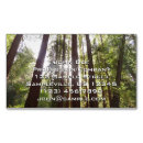 Buscar mañana tarjetas de visita Bosque