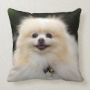Buscar perro de pomerania enano cojines Sacudida y pam langrish