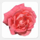 Buscar background pegatinas Floral