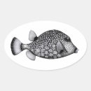 Buscar peces de agua salada pegatinas Para todos