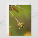Buscar gota de agua tarjetas Flor