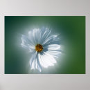 Buscar rayas verdes y blancas posters Blanco