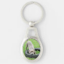 Buscar staffordshire bull terrier llaveros Perro