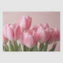 Buscar tulipanes rosados papel de seda Tulipán