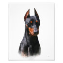 Buscar pinscher posters Alemán