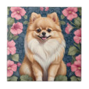 Buscar petunia azulejos Flores