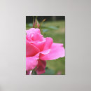 Buscar fuschia arte Rosa