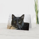 Buscar lilly tarjetas Negro