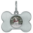 Buscar del toro perro accesorios Perrito
