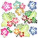 Buscar hawaiana pegatinas General y unisex