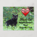 Buscar de agradecimiento postales General y unisex