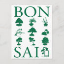 Buscar bonsai postales Planta