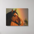 Buscar caballos lienzos Retrato