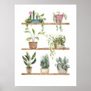 Buscar plantas posters Botánicos