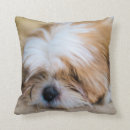 Buscar tzu de shih cojines Perrito