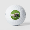 Buscar luna pelotas golf Fotografía