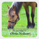 Buscar este libro pertenece a pegatinas Adorable