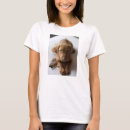 Buscar vizsla ropa Lindo