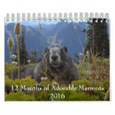Buscar roedor calendarios Animales