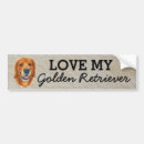 Buscar golden retriever pegatinas parachoque Perros