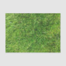 Buscar césped papel de seda Verde