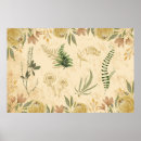 Buscar antigua del helecho posters Botánico