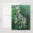 Buscar crepúsculo postales Botánico