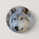 Buscar lobo chapas Animal