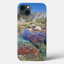 Buscar limpio ipad fundas Ansel adams wilderness