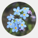 Buscar cierre para arriba pegatinas Flor