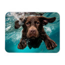 Buscar dinámico imanes Productos de perro