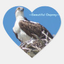 Buscar osprey pegatinas Pájaro