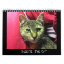 Buscar cat calendarios Animal