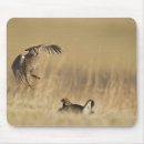 Buscar men alfombrillas de raton Pájaro