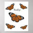Buscar mariposas de monarca posters Para niños
