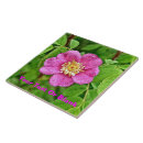 Buscar salvaje azulejos General y unisex