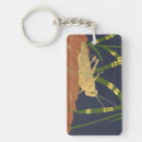 Buscar saltamontes llaveros Insecto