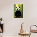 Buscar bosque de bambú posters Panda
