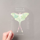 Buscar polilla invitaciones General y unisex